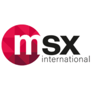 Logo de MSX International